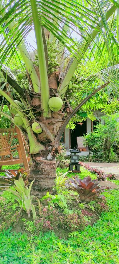Java Turtle Lodge Meru Betiri Banyuwangi  Exterior photo