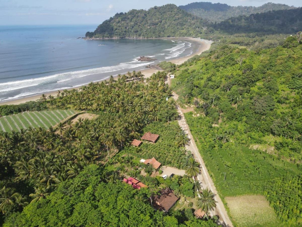 Java Turtle Lodge Meru Betiri Banyuwangi  Exterior photo