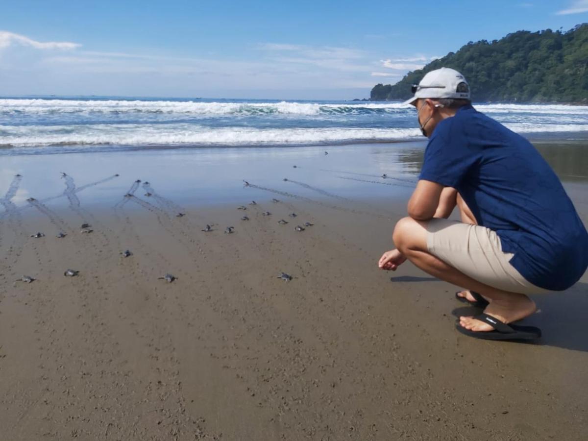 Java Turtle Lodge Meru Betiri Banyuwangi  Exterior photo