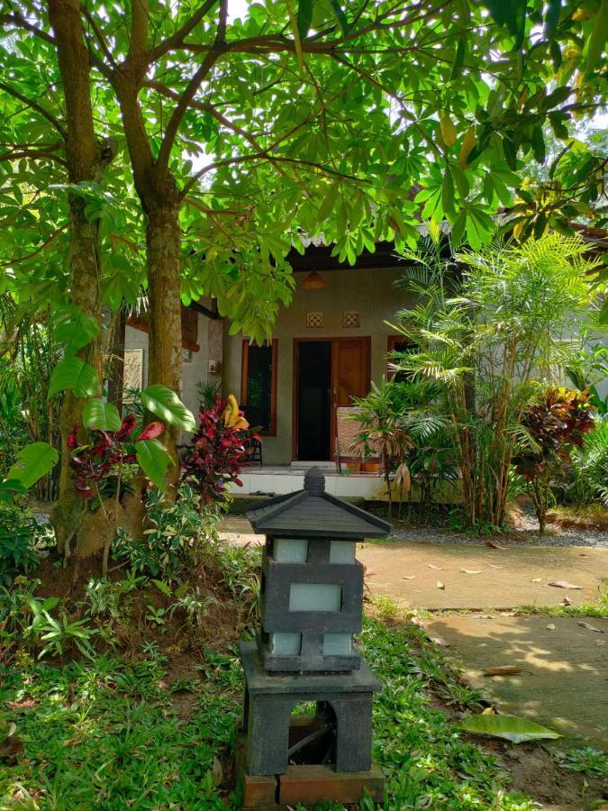 Java Turtle Lodge Meru Betiri Banyuwangi  Exterior photo