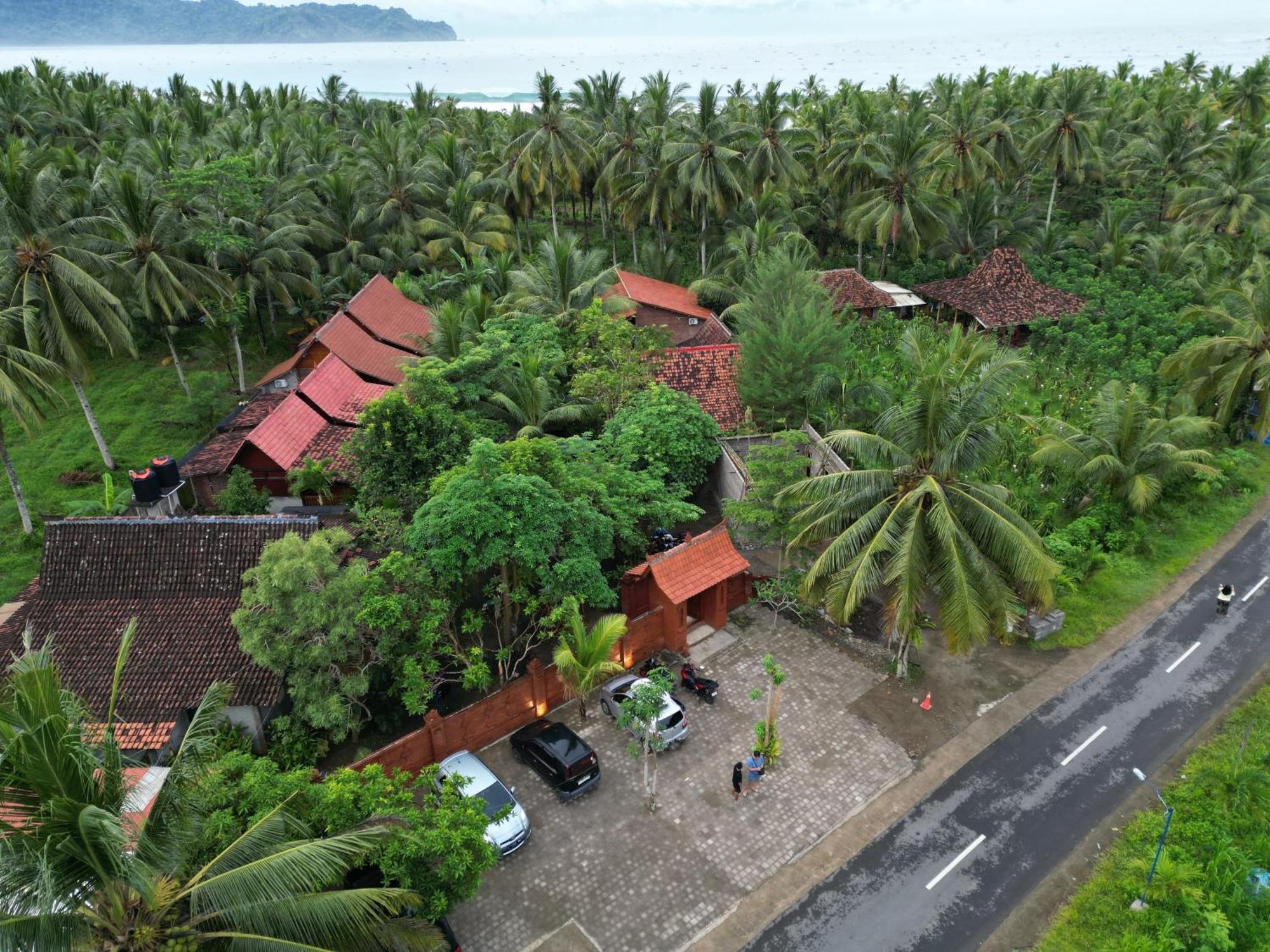 Java Turtle Lodge Meru Betiri Banyuwangi  Exterior photo